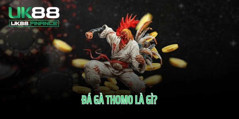 Đá gà Thomo là gì?