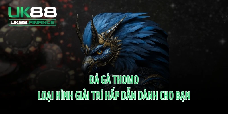 Đá Gà Thomo - Loại Hình Giải Trí Hấp Dẫn Dành Cho Bạn