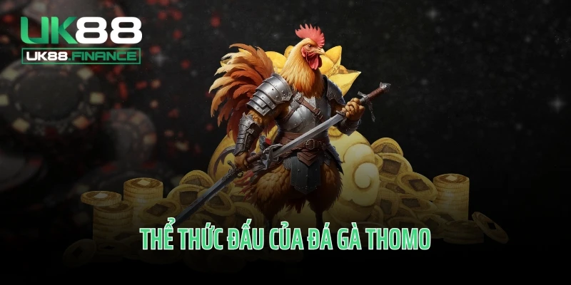 Thể thức đấu của đá gà Thomo